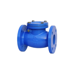 Check Valve