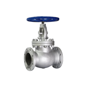 Globe Valve